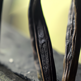 Exploring the World of Vanilla Origins Varieties and Flavors